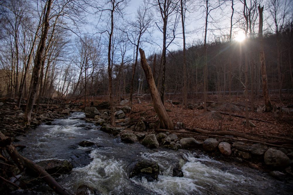 The sun pokes through the trees as the Beacon Hill Brook roars through the Three Sister Preserve in Bethany after a rainstorm. The Bethany Land Trust and Connecticut Water Company ensured 20 acres of land along Route 63 will remain protected open space in perpetuity available for the public to enjoy.   | Richie Rathsack, Connecticut Water